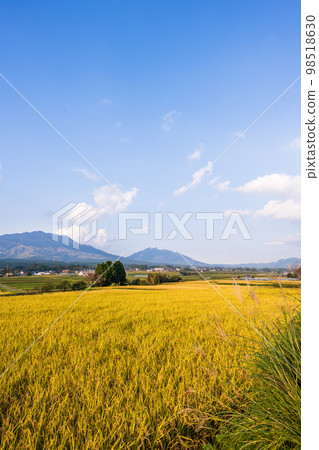 Forests rich in nature, abundant spring water, clear air Sunset rural scenery around Shirakawa Suigen Station (Minami Aso Village) Forests rich in nature, abundant spring water, clear air Sunset rural scenery around Shirakawa Suigen Station (Minami Aso Village) 98518630