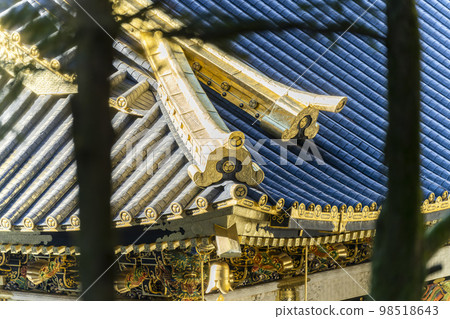 Nikko Toshogu Shrine on a clear winter day The tiles of the head office Nikko City, Tochigi Prefecture 98518643