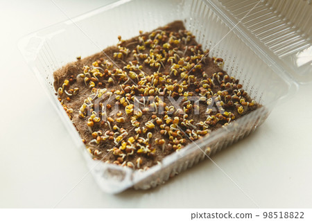Healthy organic food micro greens bio organic edible harvest after sowing. Health eco gardening, business concept. Healthy organic food micro greens bio organic edible harvest after sowing. Health eco gardening, business concept. 98518822