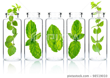Bottles of essential oil with mint isolated on white background. 98519010