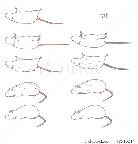 Vector illustration set of sick rats - Stock Illustration [98519214 ...