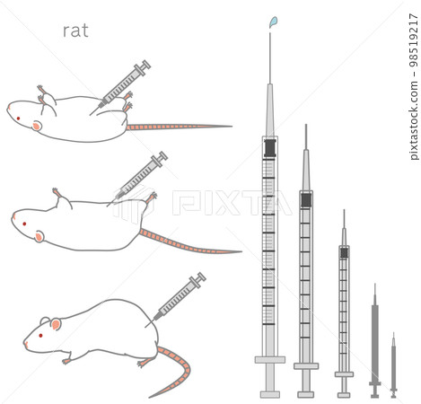 各種尺寸的注射器和被注射的大鼠的矢量圖解集 98519217