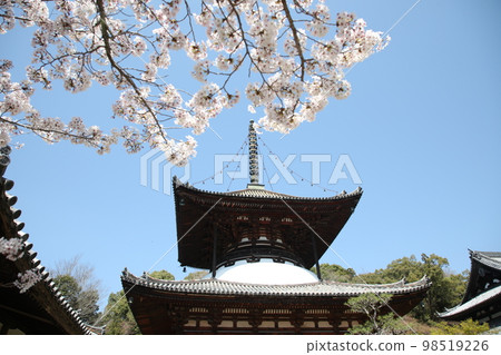 Negoriji Negoriji 98519226