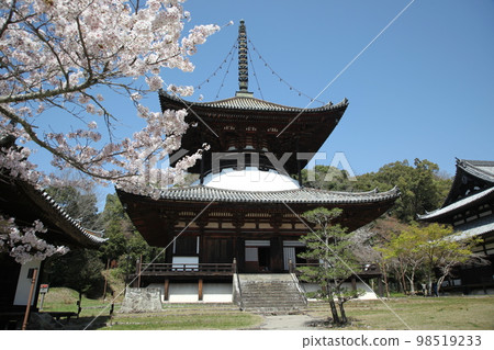 根來寺 根來寺 98519233