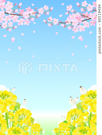 油菜花、櫻花、蝴蝶 櫻花 暴風雪 櫻花 染井吉野 98519494