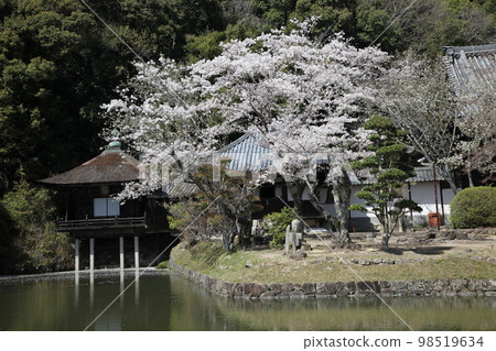 Negoriji Negoriji 98519634