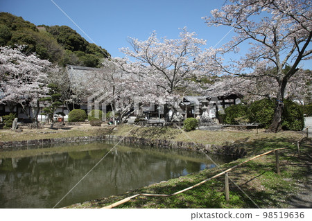 Negoriji Negoriji 98519636