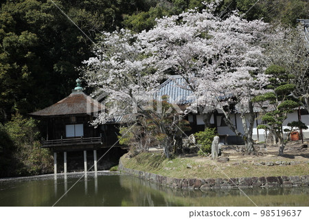 Negoriji Negoriji 98519637