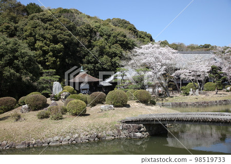 Negoriji Negoriji 98519733