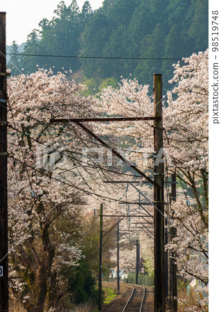 Ieyama, Kawane-machi, Shimada City, Shizuoka Prefecture Oigawa Railway and scenery along the line 98519748