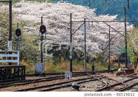 Ieyama, Kawane-machi, Shimada City, Shizuoka Prefecture Oigawa Railway and scenery along the line 98519832