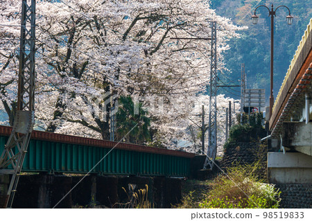 Ieyama, Kawane-machi, Shimada City, Shizuoka Prefecture Oigawa Railway and scenery along the line 98519833