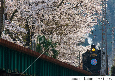 靜岡縣島田市河根町家山大井川鐵道及沿線風景 98519839