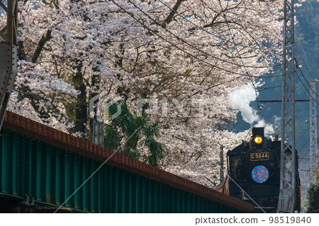 靜岡縣島田市河根町家山大井川鐵道及沿線風景 靜岡縣島田市河根町家山大井川鐵道及沿線風景 98519840