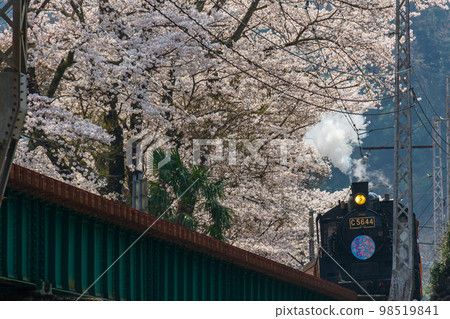 靜岡縣島田市河根町家山大井川鐵道及沿線風景 98519841