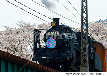 Ieyama, Kawane-machi, Shimada City, Shizuoka Prefecture Oigawa Railway and scenery along the line 98519842