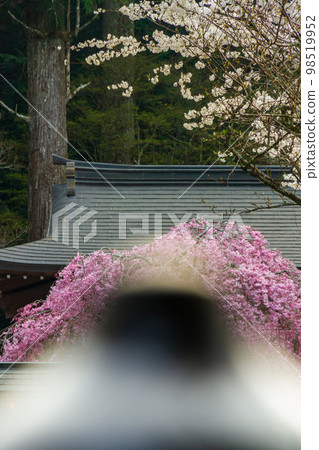 Ichinomiya, Mori-machi, Shuchi-gun, Shizuoka Prefecture Okuni Shrine and its precincts 98519952