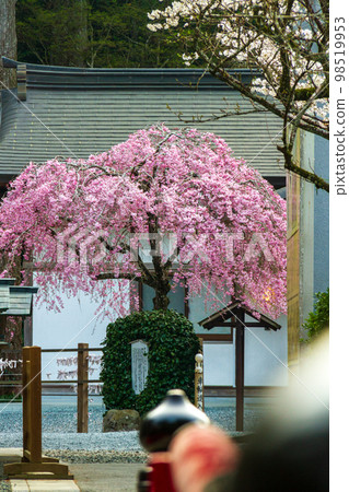 Ichinomiya, Mori-machi, Shuchi-gun, Shizuoka Prefecture Okuni Shrine and its precincts Ichinomiya, Mori-machi, Shuchi-gun, Shizuoka Prefecture Okuni Shrine and its precincts 98519953