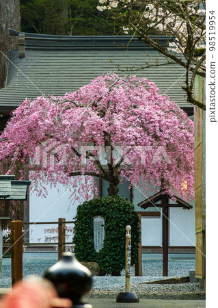 Ichinomiya, Mori-machi, Shuchi-gun, Shizuoka Prefecture Okuni Shrine and its precincts Ichinomiya, Mori-machi, Shuchi-gun, Shizuoka Prefecture Okuni Shrine and its precincts 98519954