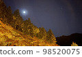 月亮照在秋天的樹葉上 98520075