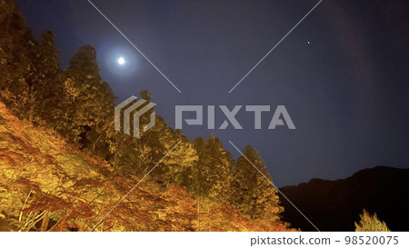 月亮照在秋天的樹葉上 月亮照在秋天的樹葉上 98520075