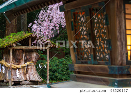 Ichinomiya, Mori-machi, Shuchi-gun, Shizuoka Prefecture Oguni Shrine and its precincts Ichinomiya, Mori-machi, Shuchi-gun, Shizuoka Prefecture Oguni Shrine and its precincts 98520157