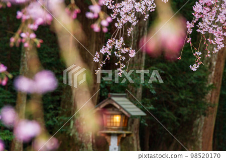 Ichinomiya, Mori-machi, Shuchi-gun, Shizuoka Prefecture Oguni Shrine and its precincts Ichinomiya, Mori-machi, Shuchi-gun, Shizuoka Prefecture Oguni Shrine and its precincts 98520170