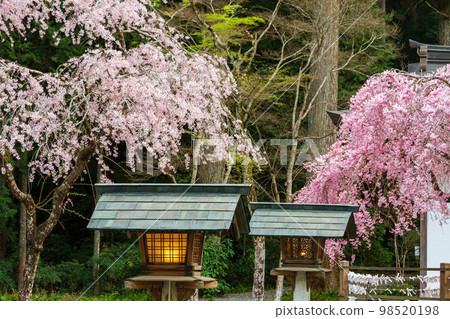靜岡縣周知郡森町一宮小國神社及其院內 98520198