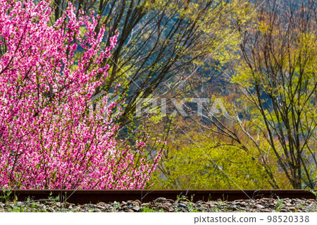 Ieyama, Kawane-machi, Shimada City, Shizuoka Prefecture Oigawa Railway and scenery along the line Ieyama, Kawane-machi, Shimada City, Shizuoka Prefecture Oigawa Railway and scenery along the line 98520338