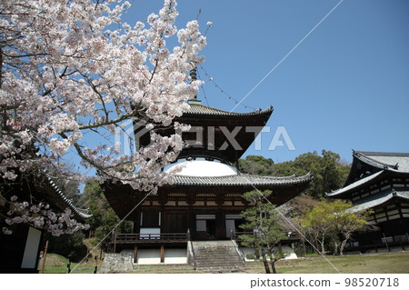Negoriji Negoriji 98520718