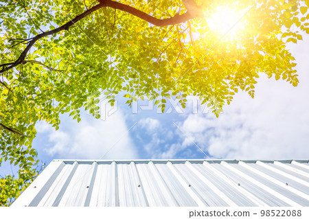 big green tree protection over house roof from uv sun for cooling chill home good environment fresh air 98522088