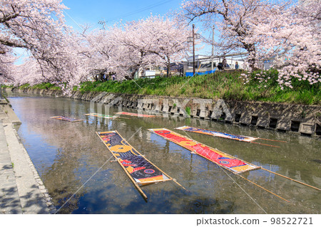 Iwakura City Scenery of lazy washing on the Gojo River 98522721