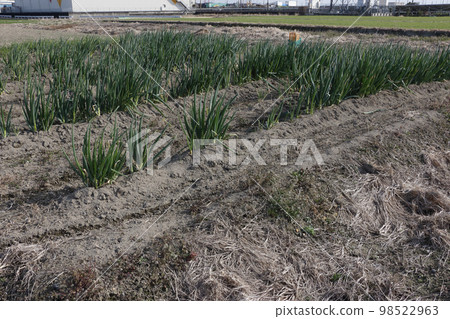 匠心為排水不暢的田地 曲線耕作 匠心為排水不暢的田地 曲線耕作 98522963