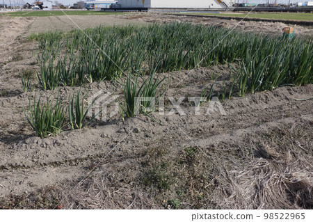 匠心為排水不暢的田地 曲線耕作 98522965