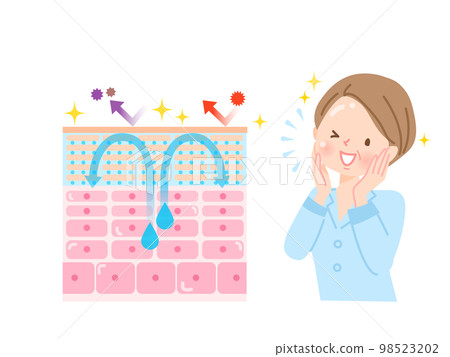 Skin turnover Skin structure and women Skin turnover Skin structure and women 98523202