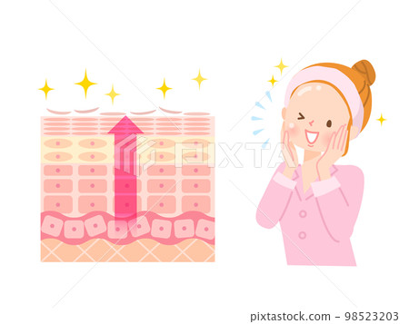 Skin turnover Skin structure and women 98523203