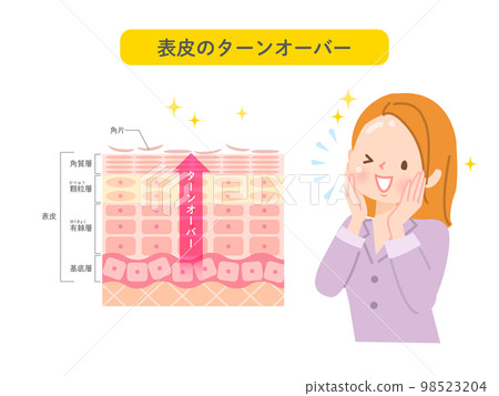 Skin turnover Skin structure and women Skin turnover Skin structure and women 98523204