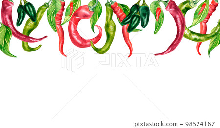 Board of various hot peppers watercolor illustration isolated on white. 98524167