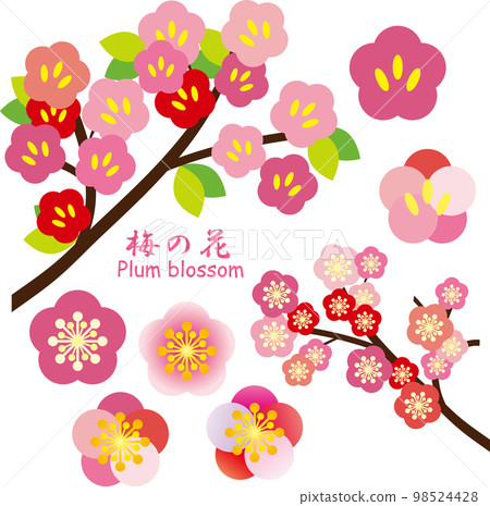 Plum blossom illustration material set 98524428