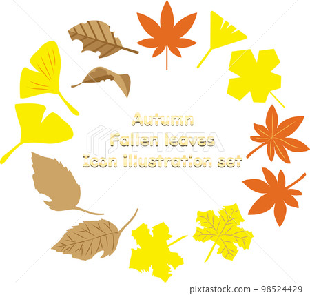 Autumn fallen leaves icon illustration material set Autumn fallen leaves icon illustration material set 98524429