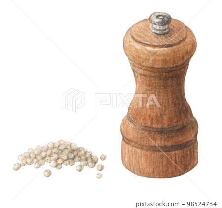 Mill and white pepper, watercolor pencil spice illustration Mill and white pepper, watercolor pencil spice illustration 98524734