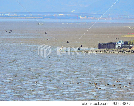 佐賀縣有明海東與我灘塗的傳統捕魚方法——Takappo 捕魚 佐賀縣有明海東與我灘塗的傳統捕魚方法——Takappo 捕魚 98524822