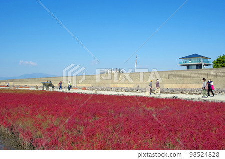 Popular sightseeing spots in Saga 98524828