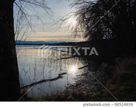 Bernried, Germany - December 30th 2022: Natural banks of lake Starnberger See in front of the alpine ridge 98524939
