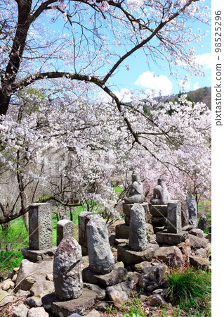Temple gate with cherry blossoms and stone statues Shinshu cherry blossoms Ancient stone statues Beautiful cherry blossoms Colored paper interwoven with flowers and plants Temple gate with cherry blossoms and stone statues Shinshu cherry blossoms Ancient stone statues Beautiful cherry blossoms Colored paper interwoven with flowers and plants 98525296