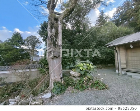舊日本遺跡出雲國佐多神社 舊日本遺跡出雲國佐多神社 98525350