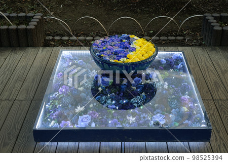花水 花水 98525394