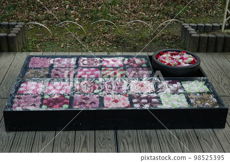 花水 花水 98525395