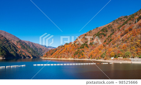 Autumn leaves of Lake Azusa, Nagano Prefecture Autumn leaves of Lake Azusa, Nagano Prefecture 98525666