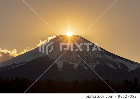 Diamond Fuji seen from Yamanakako Hananomiyako Park 98527052